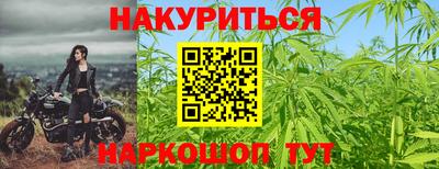 гашик Можга