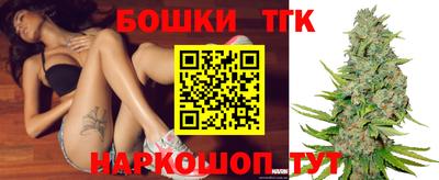 гашик Можга