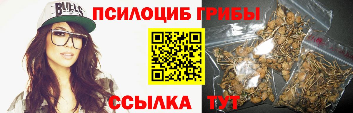 Улан-Удэ  Галлюциногенные грибы Magic Shrooms  Галлюциногенные грибы прущие грибы  Вход с VPN 