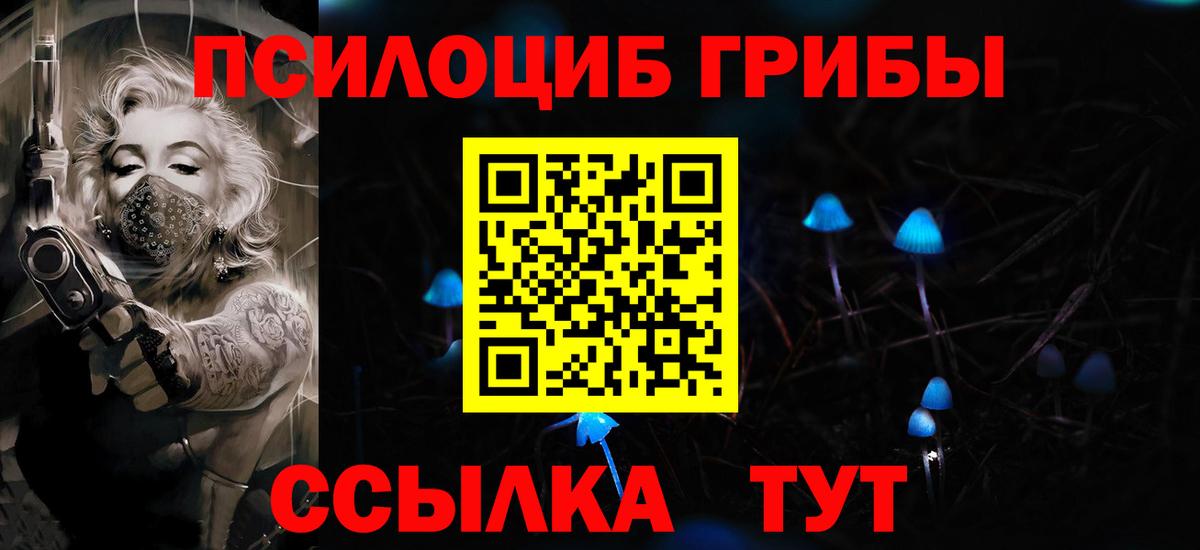 Псилоцибиновые грибы Cubensis Улан-Удэ